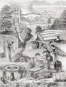 Lavoirs publics - English School