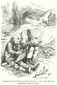 Protection Ingénieuse contre les Moucherons - un Conseil Précieux pour les Dessinateurs de Nature - English School