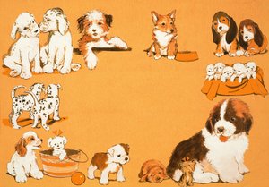 Chiots - English School