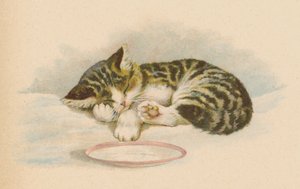 Chaton - English School