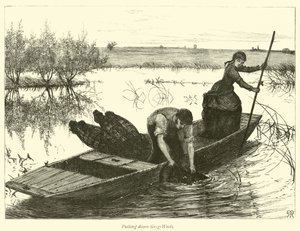 Pose de pièges à anguilles - English School