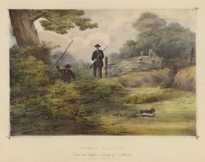 Chasse au lapin