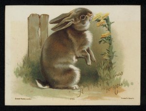 Lapin mangeant des fleurs jaunes, carte de vœux de Noël - English School