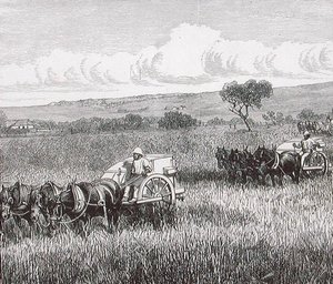Moisson, Sud Adelaide, Australie - English School