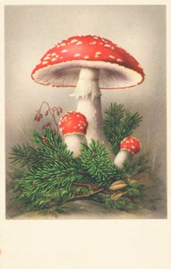 Champignons à chapeau rouge
