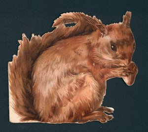 Écureuil rouge, découpe victorienne