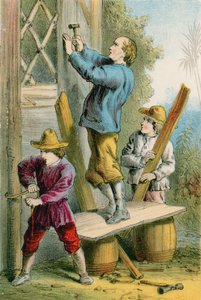 Réparation du nid de faucon