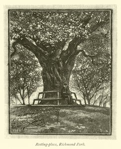 Lieu de repos, parc de Richmond - English School