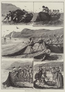 Pêche à la reta sur la côte corse (gravure)