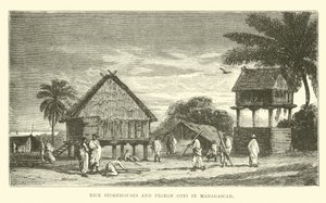 Granges à riz et pigeonniers à Madagascar - English School