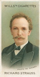 Richard Strauss - English School