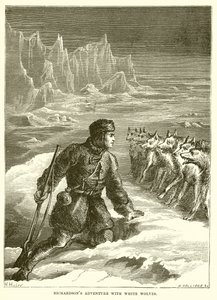 Aventure de Richardson avec des loups blancs - English School