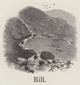 Ruisseau - English School