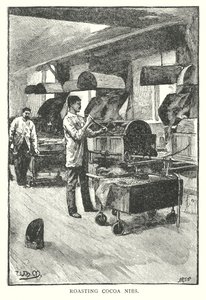 Torréfaction des grenailles de cacao (gravure) - English School