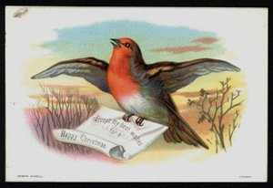 Rouge-gorge avec un message de Noël, carte de vœux - English School