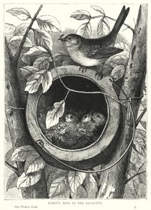 Nid de rouge-gorge dans le pot de colle - English School