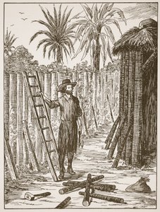 Robinson Crusoé construisant son berceau, illustration de L