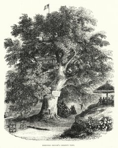 Le châtaignier de Robinson Crusoé - English School