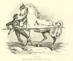 Cheval romain - English School