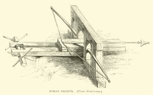 Baliste romaine - English School
