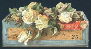 Roses dans une boîte à cigares, Carte de Noël