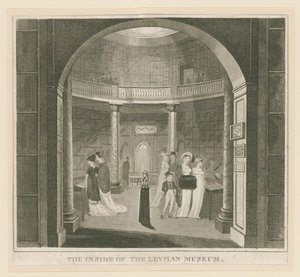 Rotonde au musée Leverian - English School