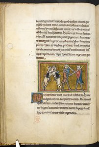 Deux chevaliers combattant à pied avec des épées, tandis que leurs chevaux se battent sur leurs pattes arrière, de Bestiaire (ff. 3-141), Lapidaire (ff. 141v-149), 2e quart du 13e siècle (vélin) - English School