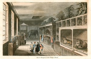 Royal Menagerie, Exeter Change, Strand (gravure en couleur) - English School