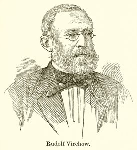 Rudolf Virchow - English School