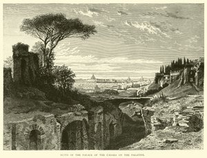 Ruines du Palais des Césars sur le Palatin
