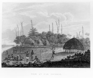 Marins collectant des provisions à Car Nicobar, de Voyages et Voyages en Inde, Ceylan, La Mer Rouge... par George, Vicomte Valentia, publié en 1809 - English School