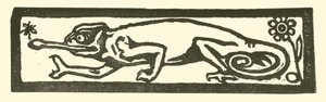 Salamandre