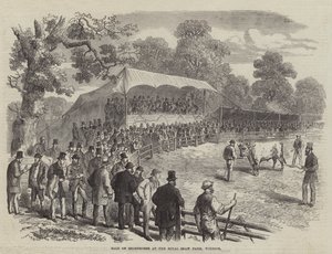 Vente de Shorthorns à la Ferme Royale de Shaw, Windsor - English School