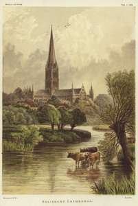 Cathédrale de Salisbury à Salisbury - English School