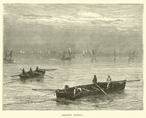 Pêche à la sardine - English School