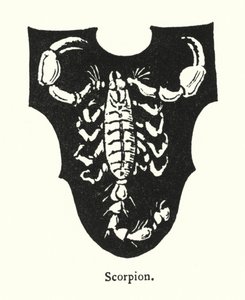Scorpion (gravure) - English School