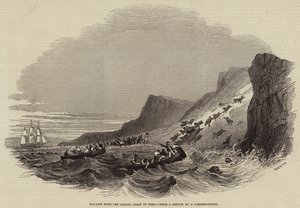 Chasse au lion de mer au large de Callao, côte du Pérou (gravure) - English School