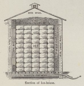 Section de glacière - English School