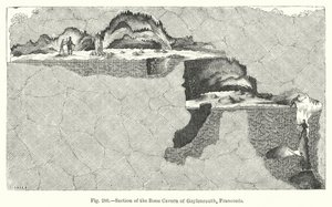 Section de la caverne osseuse de Gaylenreuth, Franconie - English School