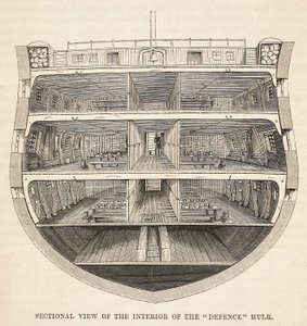 Vue en coupe de l