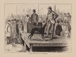 Vente de lévriers chez Aldridge (gravure) - English School