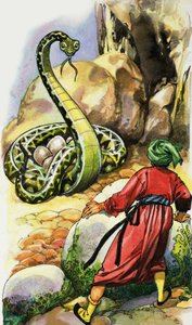 Serpent protégeant ses œufs - English School