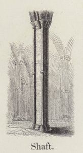 Arbre - English School