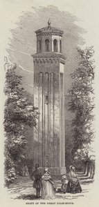 Arbre de la grande serre à palmiers - English School