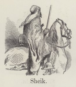 Cheikh