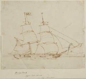Portrait de navire - Brig Jack - English School