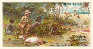 Chasse au Blackbuck en Inde (chromolitho)