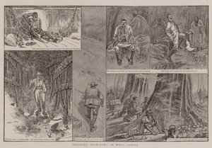 Chasse aux oiseaux de brousse en Afrique de l