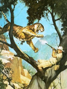 Chasser un tigre
