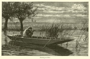 Chasse à la loutre - English School